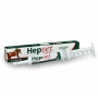 HEPVET EQUINOS PASTA 39GR